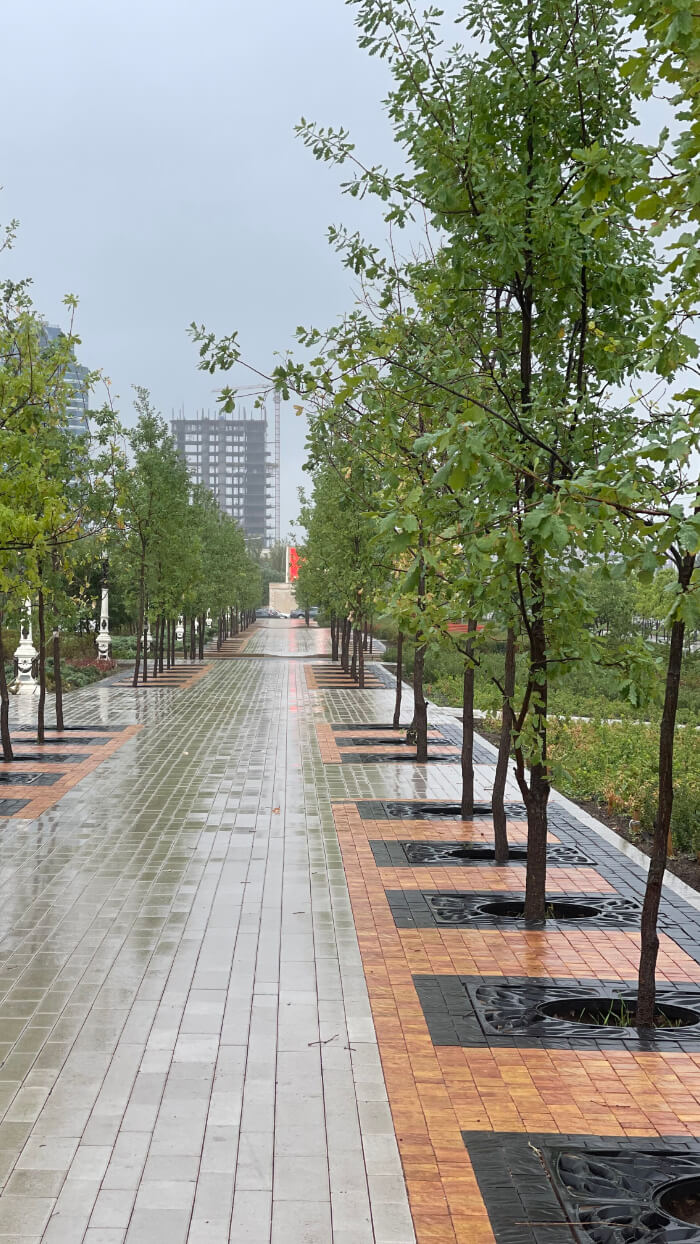 Приствольная решетка для дерева ZKING CRUST 1.2х1.2м Черная в Октябрьском фото