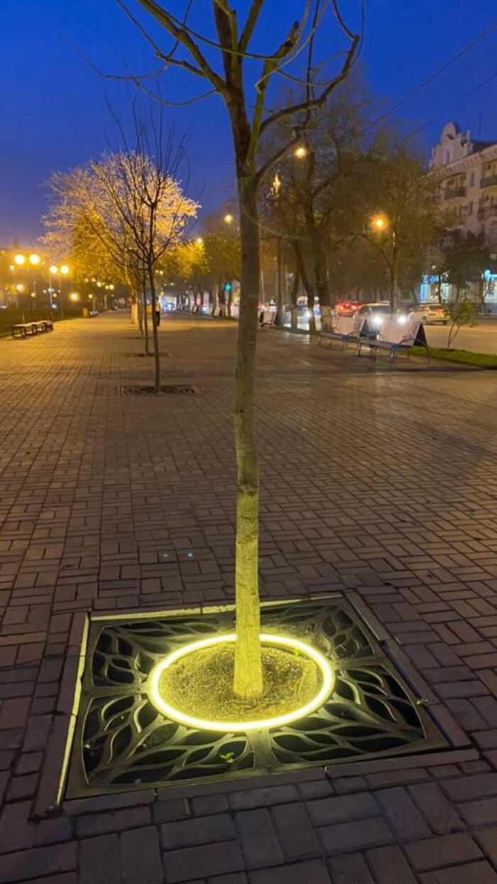 Приствольная решетка для дерева ZKING CRUST 1.2х1.2м Черная в Октябрьском фото